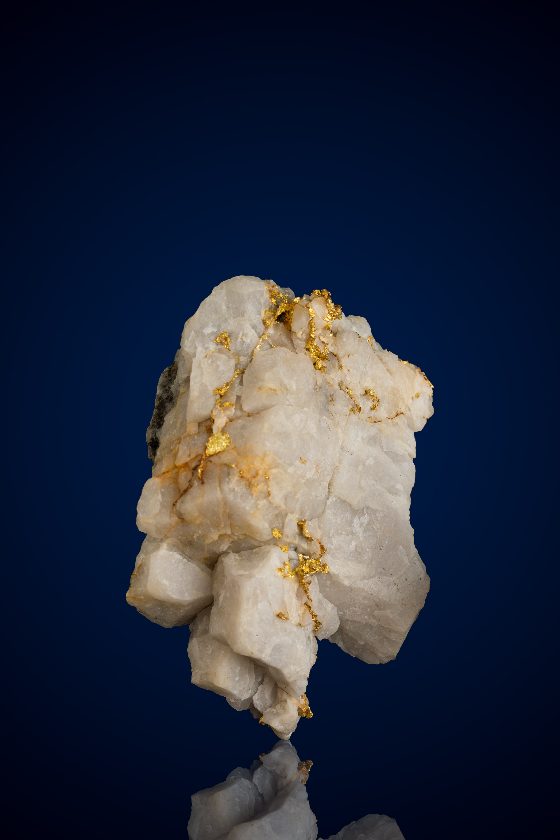 Bright, Contrasting Natural Gold Quartz Nugget - Alleghany Mining District, CA - 53.76 grams (image for) Bright, Contrasting Natural Gold Quartz Nugget - Alleghany Mining District, CA - 53.76 grams